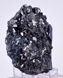4.9cm GEM ENARGITE PYRITE Crystals Peru Shiny Mineral Specimen Collector H298