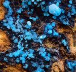 6.5cms  QUARTZ CHRYSOCOLLA TENTADORA Mine Peru Grape Botryoidal Stalactite Crystals Rare Ajoite (?)Mineral Specimen Collectors ce961