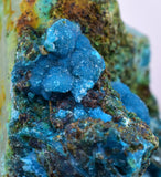 4.1cms  QUARTZ CHRYSOCOLLA TENTADORA Mine Peru Grape Botryoidal Stalactite Crystals Rare Ajoite (?)Mineral Specimen Collectors ce962