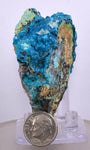 6.4cms  QUARTZ CHRYSOCOLLA TENTADORA Mine Peru Grape Botryoidal Stalactite Crystals Rare Ajoite (?)Mineral Specimen Collectors ce963