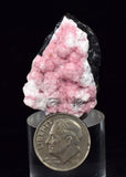 3.2cms RHODOCHROSITE ROSETTE SPHALERITE  Pyrite Peru Pink Crystals Collector Mineral Specimen R569