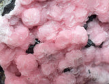 3.1cms RHODOCHROSITE ROSETTE SPHALERITE  Pyrite Peru Pink Crystals Collector Mineral Specimen R570