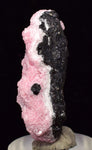 3.7cms RHODOCHROSITE ROSETTE SPHALERITE Pyrite Peru Pink Crystals Collector Mineral Specimen R572