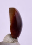 3cts FIRE AGATE CABOCHONS Natural Mexico Multi Color Gemstone Jewelry B37