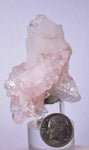 5.6cms QUARTZ COLOMBIA Rare Shiny Crystal Mineral Specimen Q361