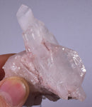 6.5cms  PINK LITHIUM QUARTZ Colombia Rare Shiny Crystal Mineral Specimen Q364