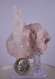 6.5cms  PINK LITHIUM QUARTZ Colombia Rare Shiny Crystal Mineral Specimen Q364