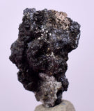 1.1cms NATIVE SILVER WIRES Peru Uchuchaccua Mine 2000 Discovery Mineral Specimen H303