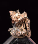 0.7cms NATIVE SILVER WIRES Crystals  San Genaro Mine Peru Mineral Specimen H312