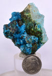 4.1cms  QUARTZ CHRYSOCOLLA TENTADORA Mine Peru Grape Botryoidal Stalactite Crystals Rare Ajoite (?)Mineral Specimen Collectors ce962