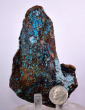10.3cms  QUARTZ CHRYSOCOLLA TENTADORA Mine Peru Grape Botryoidal Stalactite Crystals Rare Ajoite (?)Mineral Specimen Collectors ce965