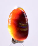 2cts FIRE AGATE CABOCHONS Natural Mexico Multi Color Gemstone Jewelry B35