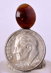 3cts FIRE AGATE CABOCHONS Natural Mexico Multi Color Gemstone Jewelry B37