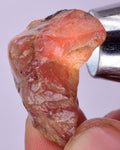 9.6grams GEM RED RHODOCHROSITE Rough Ortiz Peru Gemstones Mineral Specimen R587