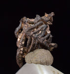 0.7cms NATIVE SILVER WIRES Crystals  San Genaro Mine Peru Mineral Specimen H312