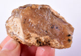 53 Grams GOLDEN OPAL CANDY Rough Facet Old Stock Translucent Mineral Specimen OE736