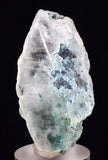 4.2cms ATACAMITE INSIDE SELENITE Crystals  Peru Chrysocolla Calcite Gypsum Premium Mineral Specimen A555