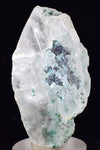 4.2cms ATACAMITE INSIDE SELENITE Crystals  Peru Chrysocolla Calcite Gypsum Premium Mineral Specimen A555