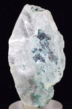 4.2cms ATACAMITE INSIDE SELENITE Crystals  Peru Chrysocolla Calcite Gypsum Premium Mineral Specimen A555