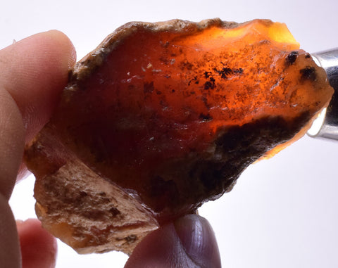 53 Grams GOLDEN OPAL CANDY Rough Facet Old Stock Translucent Mineral Specimen OE736