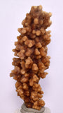 7.1cms ARAGONITE BOTRYOIDAL CRYSTALS Peru Mineral Specimen Collector E113