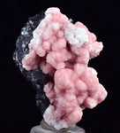 3.1cms RHODOCHROSITE ROSETTE SPHALERITE  Pyrite Peru Pink Crystals Collector Mineral Specimen R601
