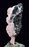 5.5cms RHODOCHROSITE ROSETTE SPHALERITE  Pyrite Peru Pink Crystals Collector Mineral Specimen R603