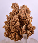 7.6cms ARAGONITE BOTRYOIDAL CRYSTALS Peru Mineral Specimen Collector E116