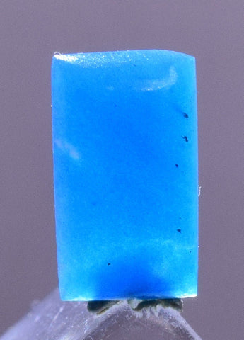 0.5carat GEM SILICA CHRYSOCOLLA Cabochon Lily Mine Peru Royal Blue Color Jewelry B45