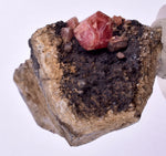 4.2cms GEM RHODOCHROSITE CRYSTALS Old Stock Uchuchaccua Mine Collector Peru Mineral Specimen R608
