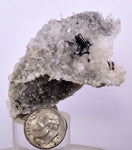 6.3cms HUBNERITE QUARTZ CRYSTALS Mineral Specimen Collector Peru M228