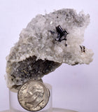 6.3cms HUBNERITE QUARTZ CRYSTALS Mineral Specimen Collector Peru M228