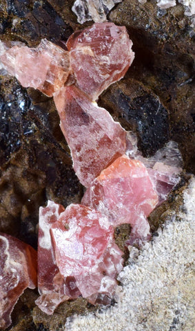 5.3cms GEM RHODOCHROSITE CRYSTALS Old Stock Uchuchaccua Mine Collector Peru Mineral Specimen R609