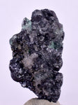 2.5cms GEOCRONITE GREEN FLUORITE Crystal Peru Milpo Atacocha Shiny K86