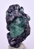 2.5cms GEOCRONITE GREEN FLUORITE Crystal Peru Milpo Atacocha Shiny K86