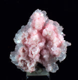 3.2cms RHODOCHROSITE CALCITE CRYSTAL Huanzala Peru Pink Mineral Specimen R613