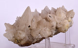 13cms CALCITE TOOTH DOG Peru Crystals Mineral Specimen Collector G246