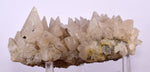 13cms CALCITE TOOTH DOG Peru Crystals Mineral Specimen Collector G246