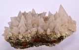 13cms CALCITE TOOTH DOG Peru Crystals Mineral Specimen Collector G246