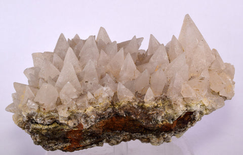 13cms CALCITE TOOTH DOG Peru Crystals Mineral Specimen Collector G246