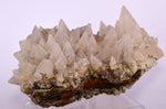 13cms CALCITE TOOTH DOG Peru Crystals Mineral Specimen Collector G246