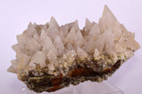 13cms CALCITE TOOTH DOG Peru Crystals Mineral Specimen Collector G246