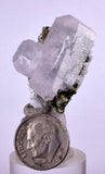 3.1cms CALCITE QUARTZ SPHALERITE Pyrite Crystals Dickite Scheelite ? Peru  Huanzala Mineral Specimen A562 .