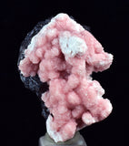 3.1cms RHODOCHROSITE ROSETTE SPHALERITE  Pyrite Peru Pink Crystals Collector Mineral Specimen R601