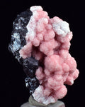 3.1cms RHODOCHROSITE ROSETTE SPHALERITE  Pyrite Peru Pink Crystals Collector Mineral Specimen R601