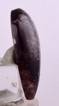 21.5cts GEM AXINITE PURPLE Cabochon Peru Super Shiny Rare Mineral Specimen B70