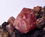 4.2cms GEM RHODOCHROSITE CRYSTALS Old Stock Uchuchaccua Mine Collector Peru Mineral Specimen R608