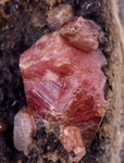 4.2cms GEM RHODOCHROSITE CRYSTALS Old Stock Uchuchaccua Mine Collector Peru Mineral Specimen R608