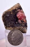 4.2cms GEM RHODOCHROSITE CRYSTALS Old Stock Uchuchaccua Mine Collector Peru Mineral Specimen R608