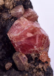 4.2cms GEM RHODOCHROSITE CRYSTALS Old Stock Uchuchaccua Mine Collector Peru Mineral Specimen R608